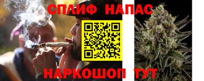 гашик Кимры