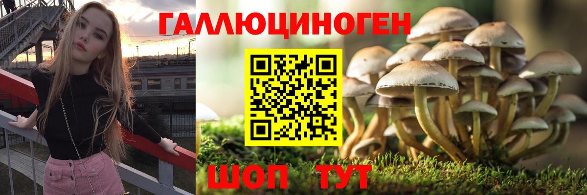Воркута  Псилоцибиновые грибы мухоморы  Вход с VPN  Галлюциногенные грибы прущие грибы 